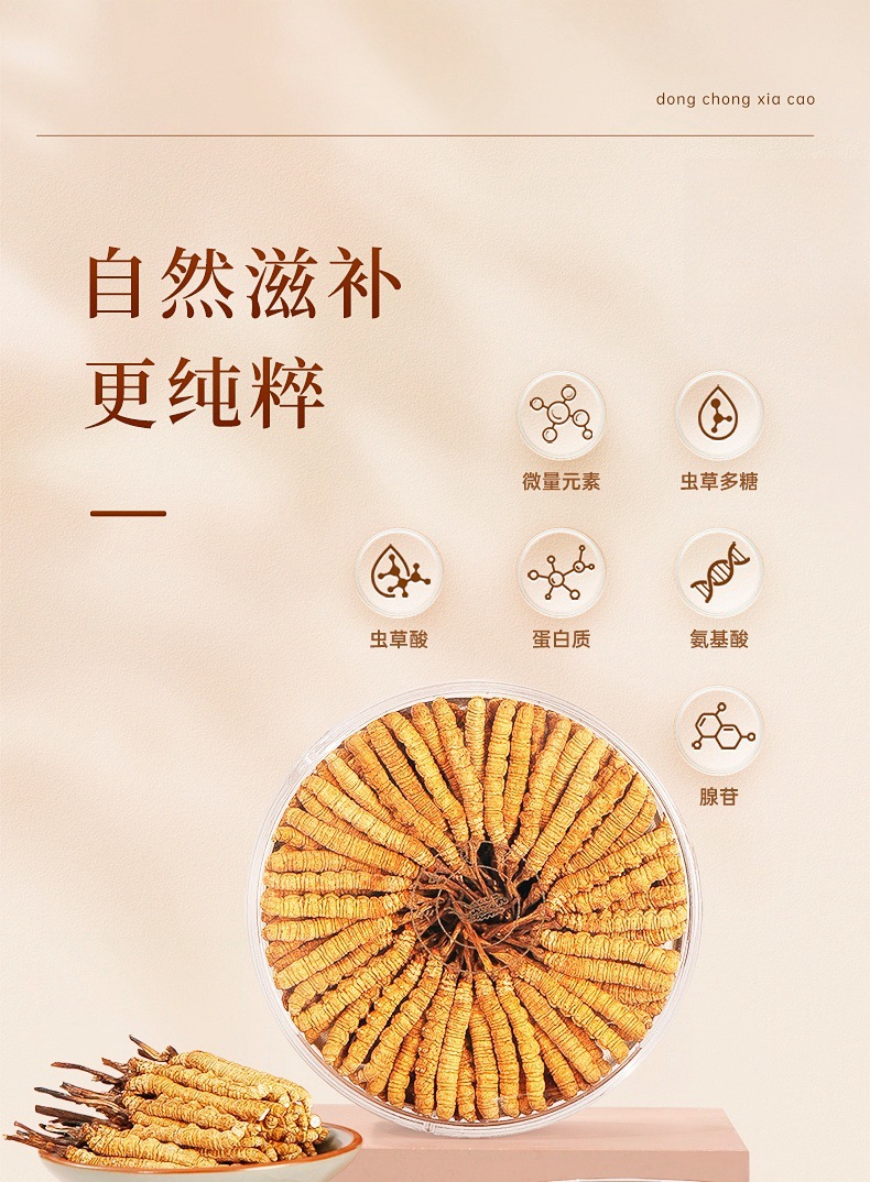 Cordyceps Sinensis Dong Chong Xia Cao Whole Dried Caterpillar Fungus Gift Box 60 Pieces Culinary Herbal Tonic overview