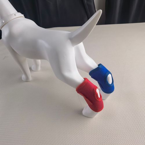 Pet Supplies Dog Leg Support Band Injury Joint Post-Surgery Support Band Wound Healing Anti-Licking Leg