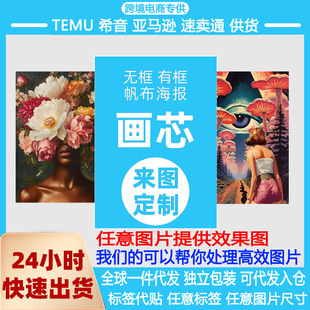 TEMU-�羳��о���L����o��ϣ-��-�R�d-���uͨ-���l