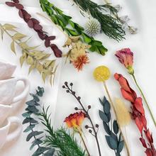 Ȼɻ׹̨ٟ}QСֲ֦ز