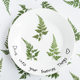 Fern Leaf Dry Makeup Plant Specimen Dried Flower Embossed Phone Case Bookmark Real Leaf Real Flower Leaf Sticker