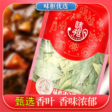 绿色香叶片新鲜月桂叶500克足干卤菜桂皮八角调味料大料 商用批发
