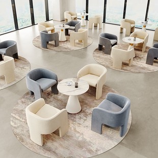 Internet Celebrity Single Sofa Negotiation Table and Chair Combination Beauty Salon Reception Small Sofa Coffee Shop Leisure Commercial Single Chair