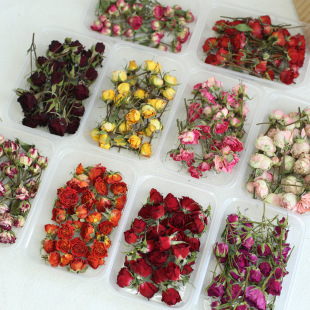 ��϶��^Сõ��ɻ������滨diy�����Nޱ�����ֹ���޹Ϟ�T���