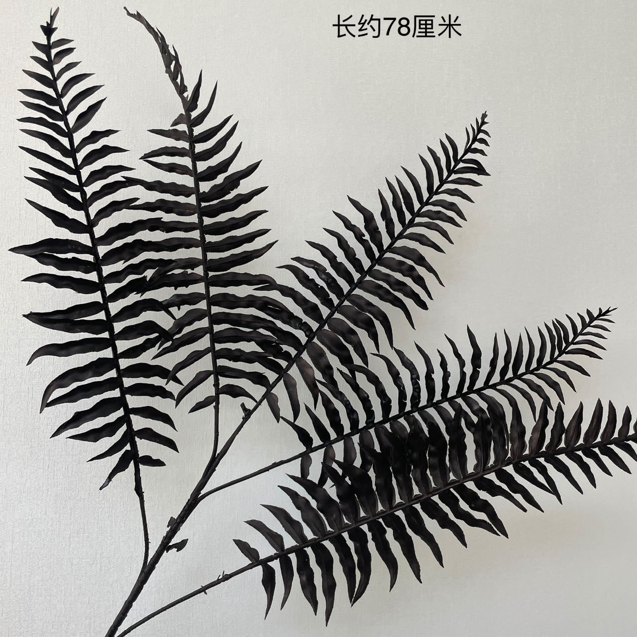 리틀 페르시아어