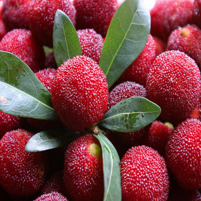 Food grade 3512 Bayberry Essence apply Drinks Wine jelly Soft sweets Sweet and sour Bayberry flavor