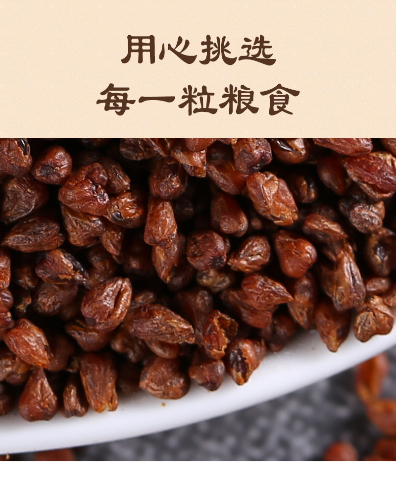 Black Tartary Buckwheat Tea Ku Qiao Mai 500g Canister Roasted Whole Germ Loose Herbal Tea in use