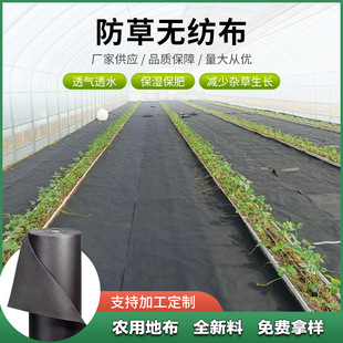 Greenhouse Weed-Proof Ground Cloth Non-Woven Weed-Killing Cloth Water-Permeable Breathable Seedling Weed-Proof Cloth Weed-Proof Non-Woven Fabric Weed-Killing Cloth