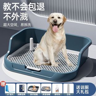 Dog Toilet Dog Urinal Medium and Large Dog Defecation Dog Toilet Thickened Induction Toilet Pad Anti-Step Mesh
