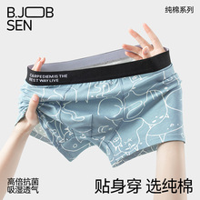 秋冬男士内裤高端纯棉a类棉平角短裤中腰透气男生四角纯棉内裤头