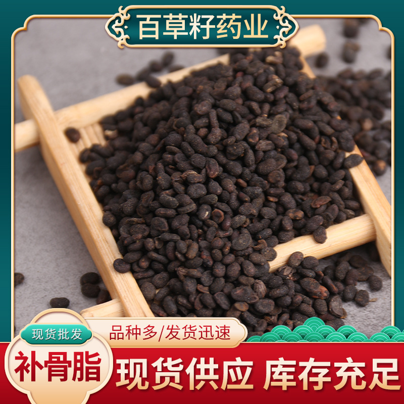 补骨脂 盐补骨脂干净补骨脂色选货批发零售大货量大从优现货现发