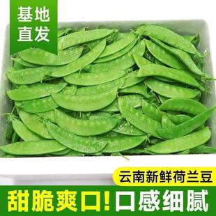 Դ�^�a�����l���m���ļ��������v����Nֲ�߲����r�Fժ�㶹��