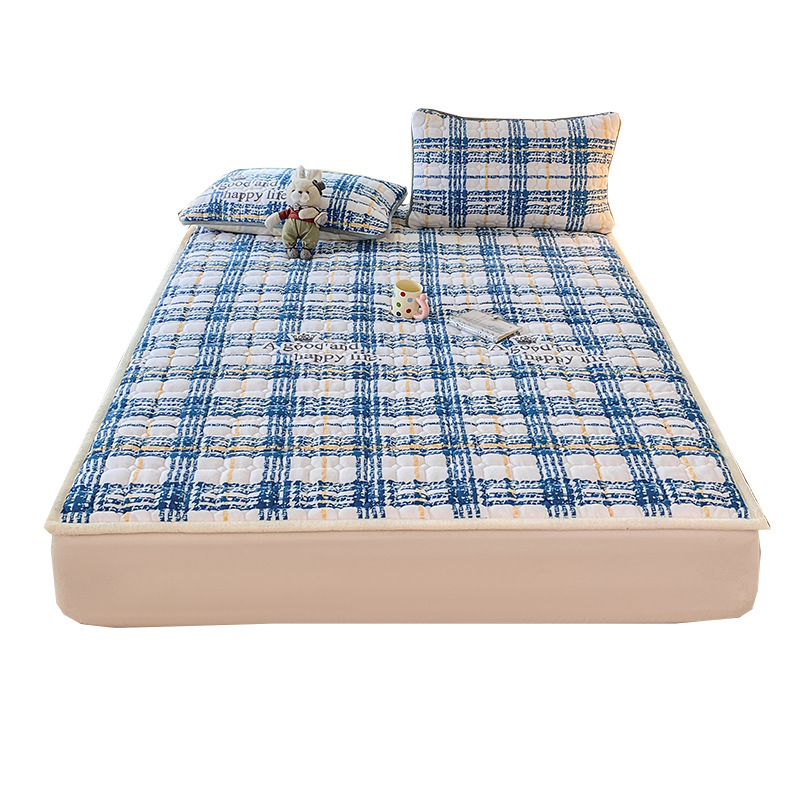 Temporada de invierno de clase madre y niño grados gruesos colchones de terciopelo cálidos mantas colchones de cama individual estofado antideslizante 1
