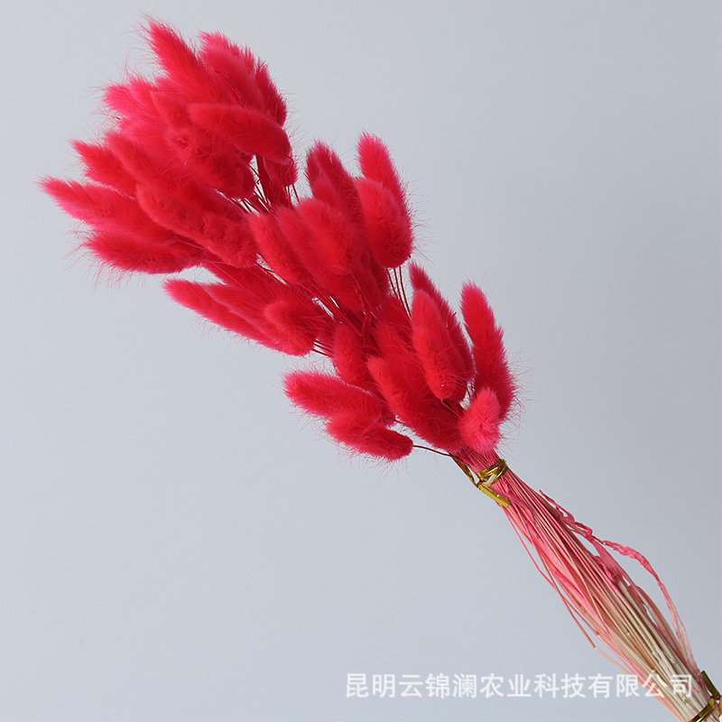 Un bouquet de 60 rouges chinois / Bouquet