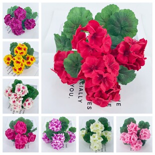 ���R�d�羳��Ʒ�|���滨���ÿ����캣�Ļ��Ҿӿ͏d����ͥԺ�b�