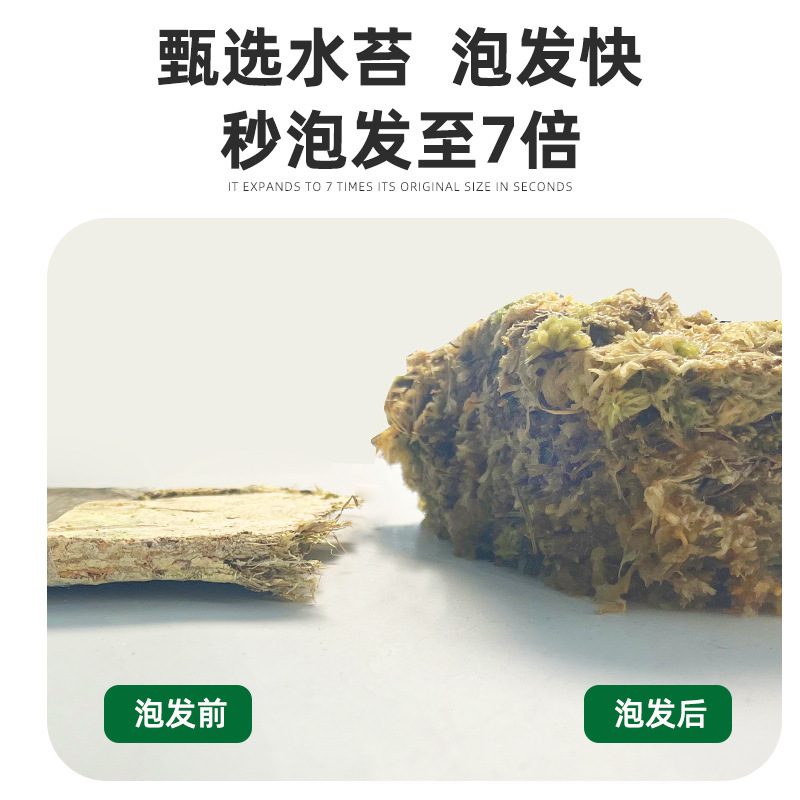 モスメーカーは、高品質の圧縮乾燥モス、完全な仕様の乾燥モス、多肉植物のペットパッド材、モスを供給しています。|undefined