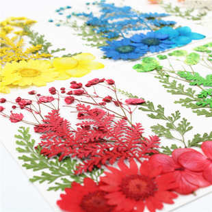 Dried Flower Embossed Material Bag Real Flower Pressed Flower Dried Flower Small Bag Petal Makeup Face Makeup