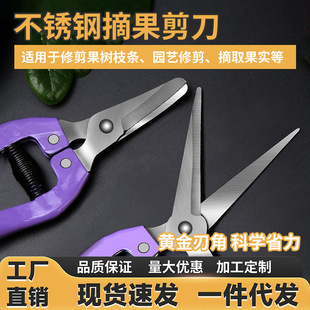 ժ�������Ѽ����ٲɹ����N�^���O������ˮ�����߹����P�ϡ������
