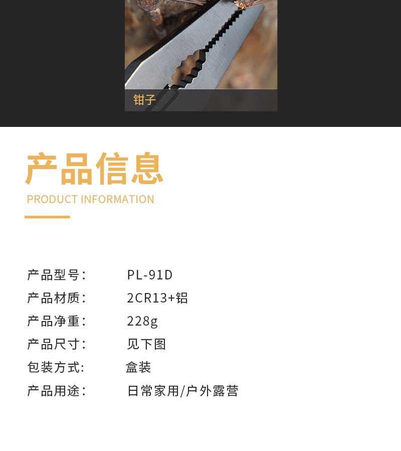 PL-91-D_08.jpg