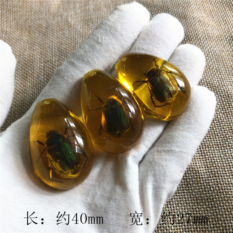 儿童挖掘考古昆虫标本 合成树脂琥珀昆虫 散装水滴盲盒标本现货|undefined