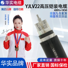 �S��ֱ�NYJLV22 �Xо�^��䓎��z�b�͉���|0.6/1�������늾�����