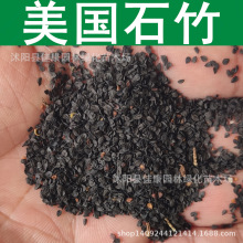 �ݻ��N�� ����ʯ��N�� ���ܲݷN 횰�ʯ��N�� 1��=1��