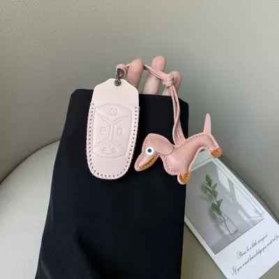 Shell Bag Cute Men and Women, Car key bag - lynk-co-model-a-lychee-powder-pink-dachshund