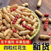 2025���������t�tƤ��������ԭζɳ�F偳�����b��؛�r����ʳ�Թ�