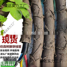 ���ϸɘ�֦늾����@��ľ���ٗl�bܷ�Ƥ������Ę��ٴ�����