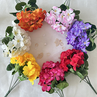 ���溣�Ļ��Ҿӿ͏dܛ�b�OӋ�ٻ��zӰ���ߔ[�����ı������bٻ�