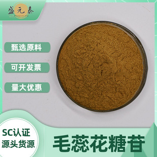 ë�ﻨ����5% 10%��ɐ����ȡ��ʢԪ̩����Acteoside���]����ă�