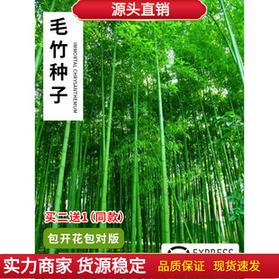 ����ë��N�� ������ ���� �ļ����� ����ʳ����S�������S��N��