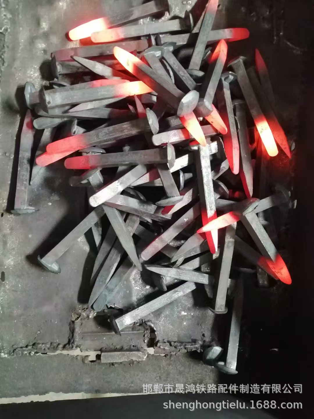 148b2ae5d0de40f7851fde3f0c1204