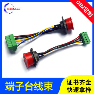Terminal Table Wiring Plt Controller Terminal Line Ms3102R16S Female Round Connector Harness Customization