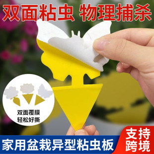 ���Q�羳�p�殐��ճ�x���Sɫ����ճ�x��̫ꖻ��T�x���S��Դ�^�S��