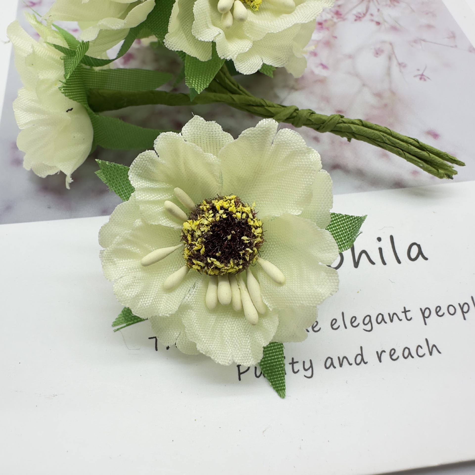 밀크 화이트(1팩 60송이)