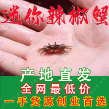 ���l�tצ����з��צ����з����з����з��܊з����з�г�з�^�pз