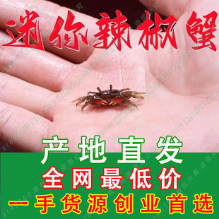 ���l�tצ����з��צ����з����з����з��܊з����з�г�з�^�pз