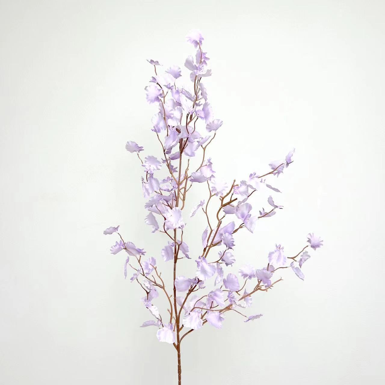 Orquídea de baile púrpura