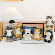 ���k��ż�����ބ�����ܽ�նՄ���@ϵ��ë�q��߹���܇�d�Ȍ��[��