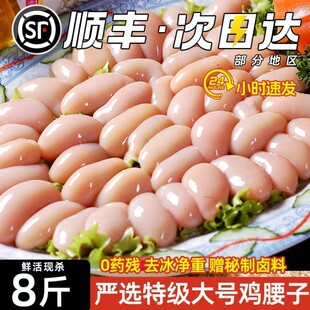 ����S���]���u�������r����F���������l���r��̖ɢ�B���u�u�I