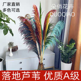 永生芦苇大蒲苇永生花干花大芦苇批发家居落地装饰插花真花婚礼花