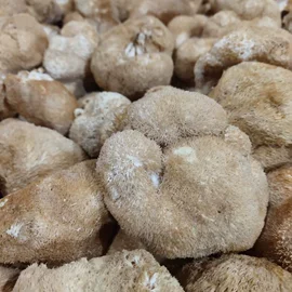 银耳;猴头菇;其他干货