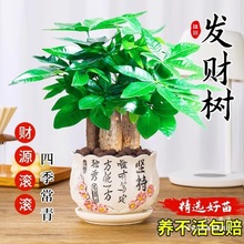 �lؔ��С����ˮ��ֲ���k���҃�����G�}�����ļ����B�Gֲ�辰����