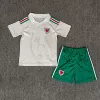 2026 Wales Away