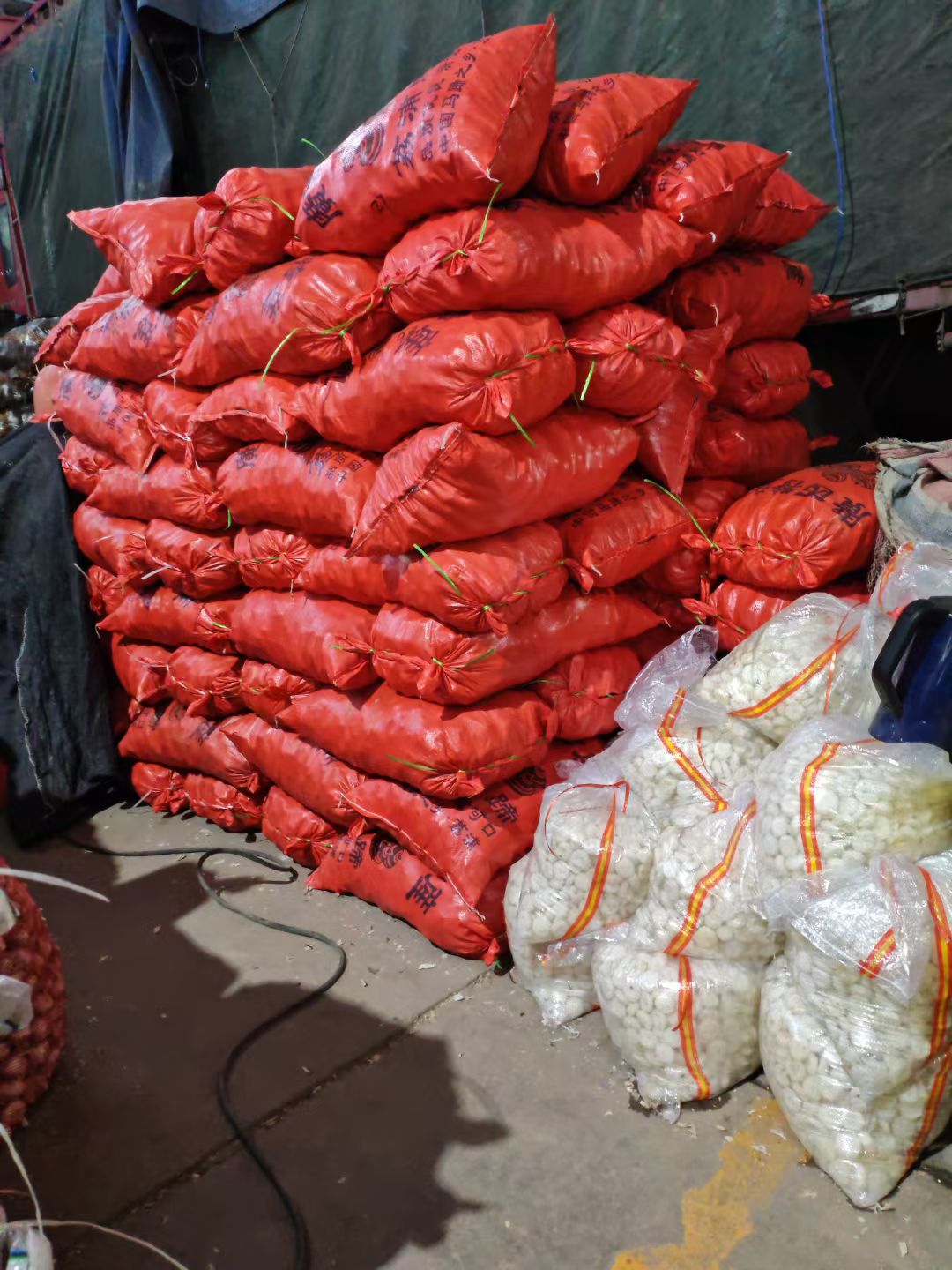 微信图片_20251107112338_57_567