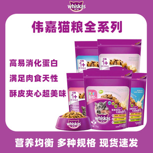 ����؈�Z����؈�����~�����~�����~�I�B�A������ȫ���Z