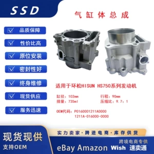 Huansong Hisun Hs750Atv/Utv 735Cc Silindr Başlığı ilə Silindr Bloku Yığımı