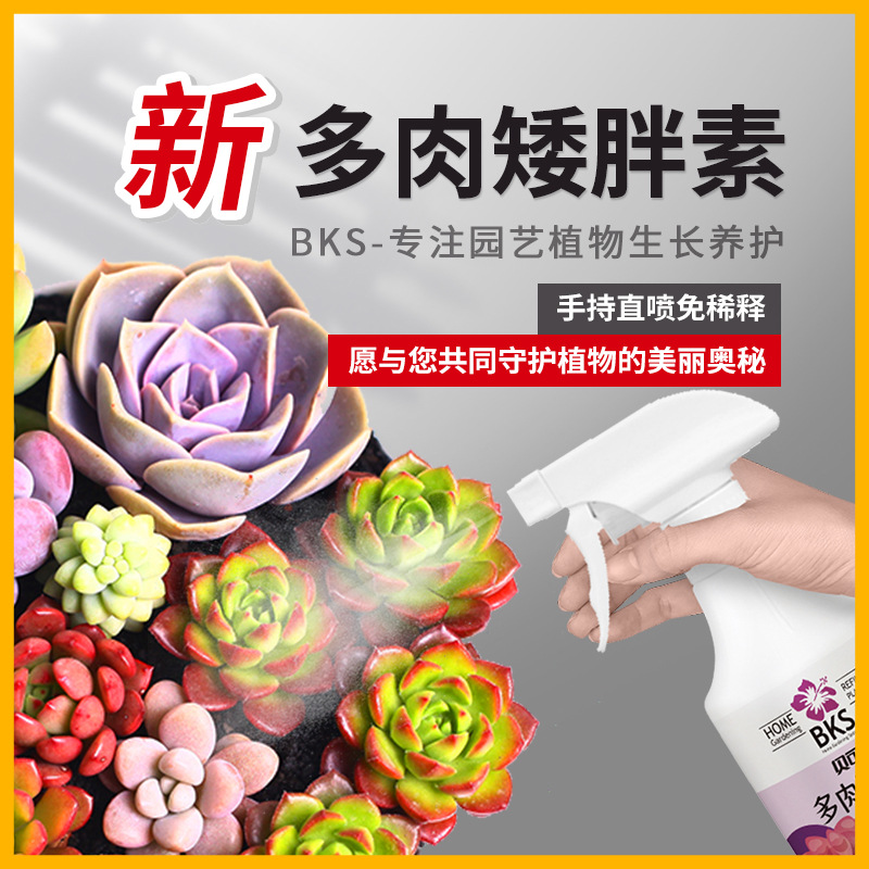 厂家多肉矮胖素矮壮剂增色防徒长肥料花卉通用有机肥厂家批发代发