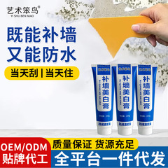 芸術の不器用な鳥の壁の膏の壁面の補修の膏の白色の家庭用のパテの膏は卸売りしてかびのきれいな味の防水の壁の膏を防ぎます